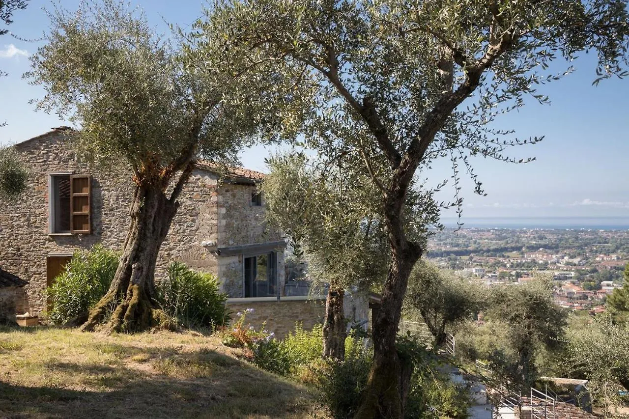 Mom'S Villa 0*, Pietrasanta