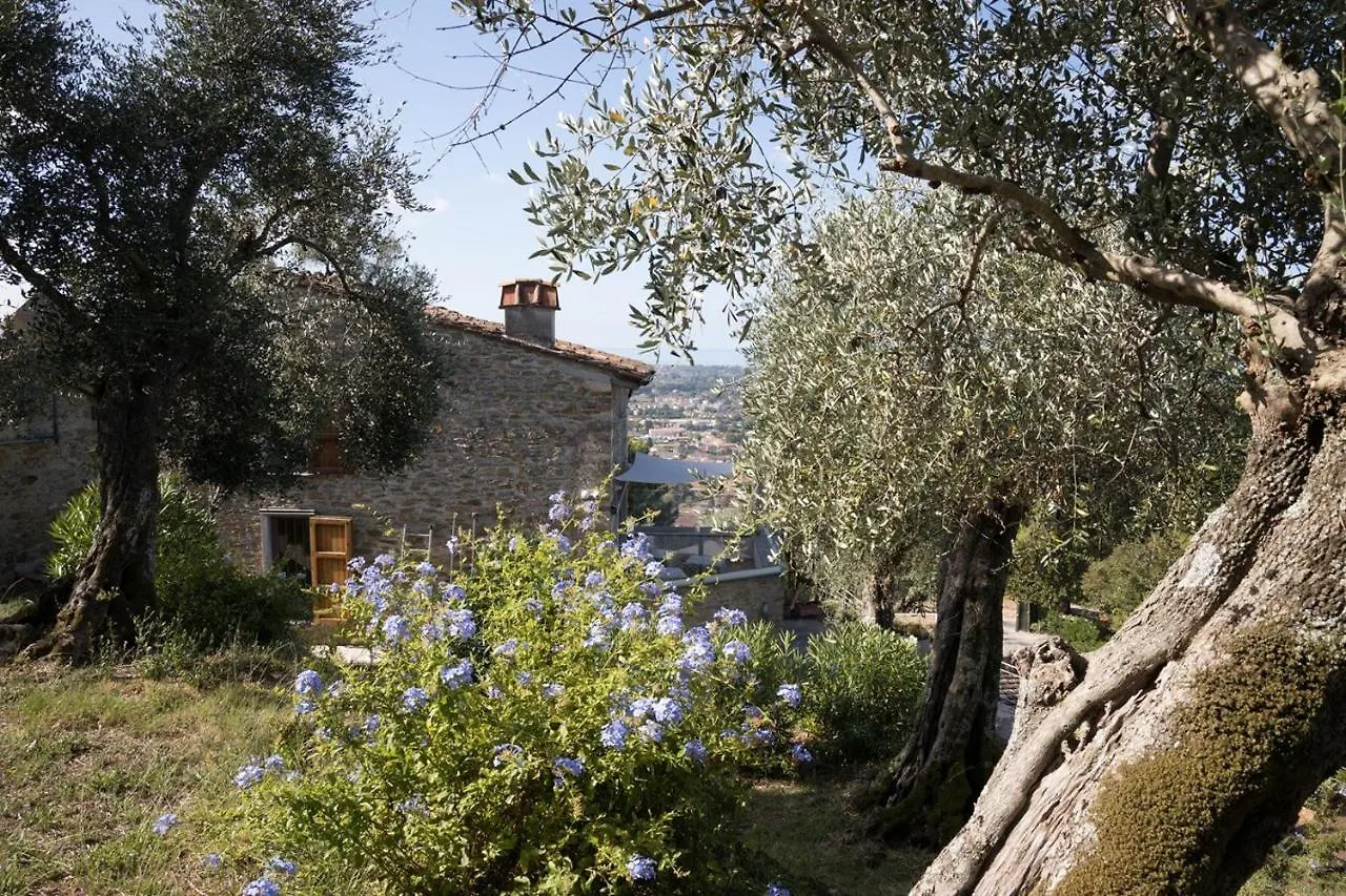 Mom'S Villa Pietrasanta