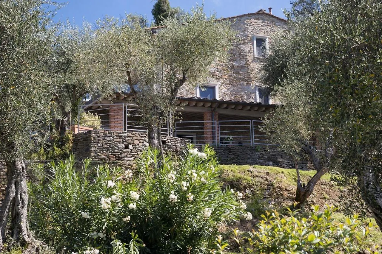Mom'S Villa Pietrasanta